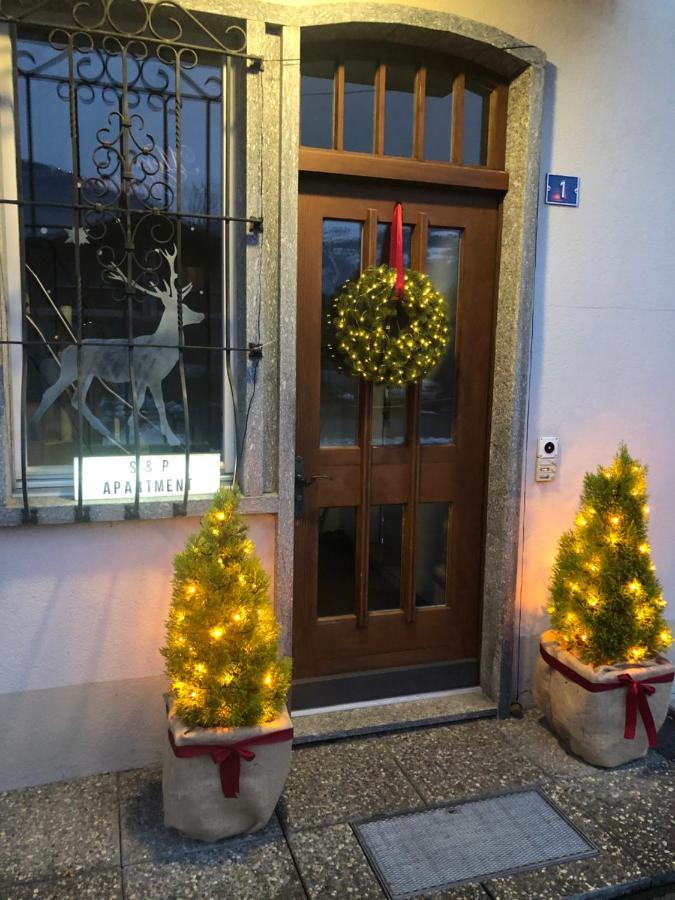 S&P Mountain View Apartment 1 Wilderswil Zewnętrze zdjęcie