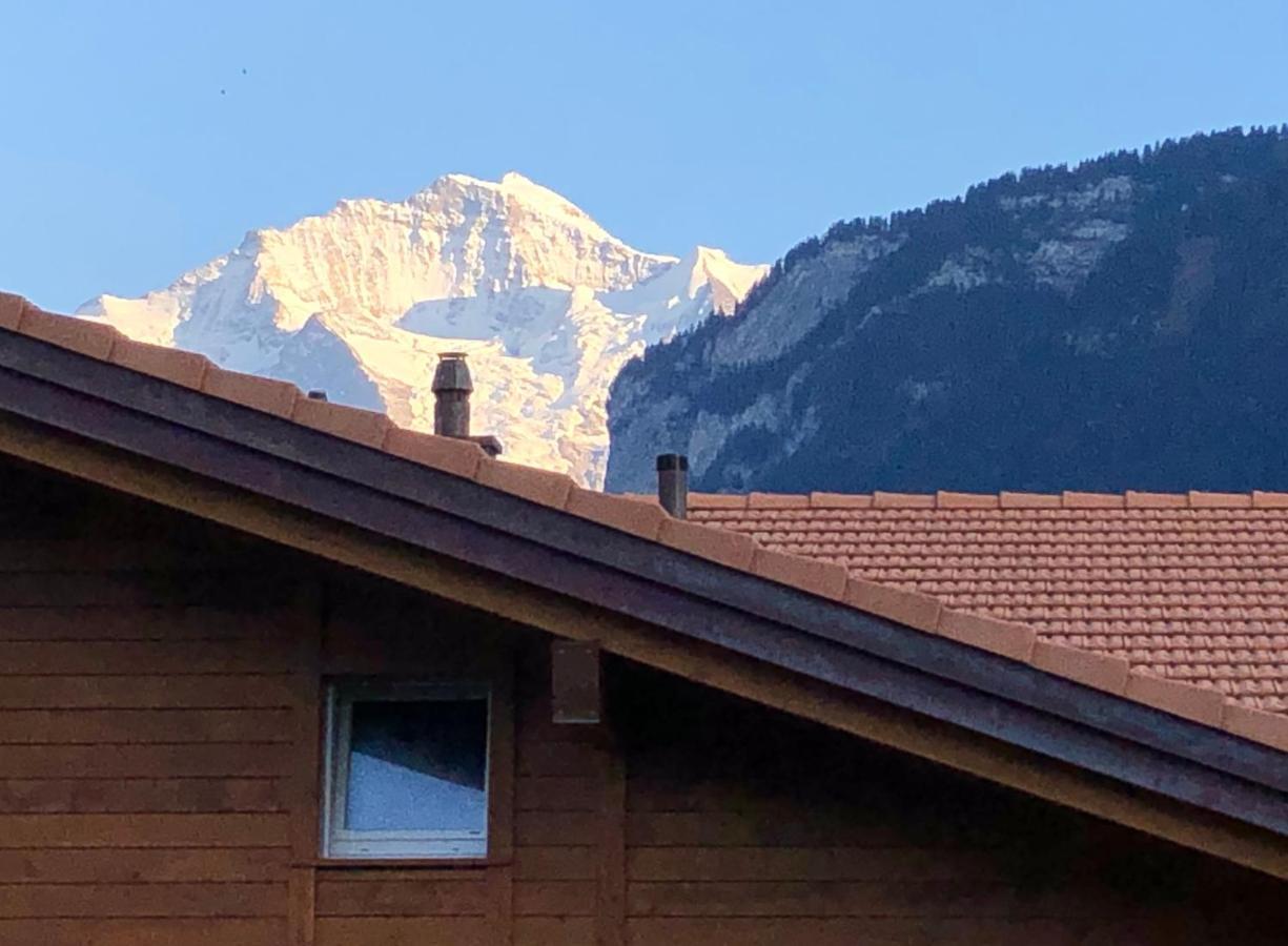 S&P Mountain View Apartment 1 Wilderswil Zewnętrze zdjęcie