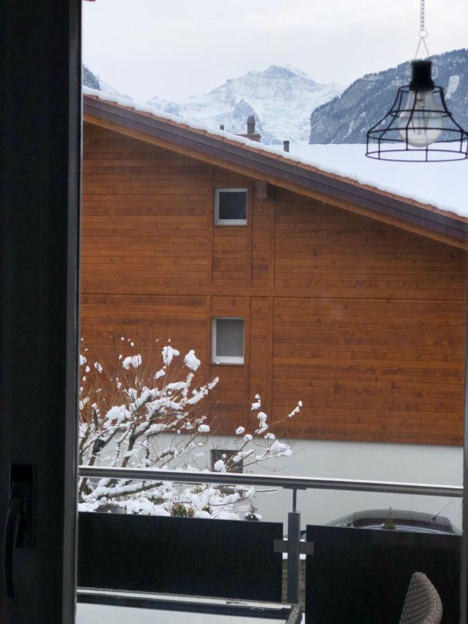 S&P Mountain View Apartment 1 Wilderswil Zewnętrze zdjęcie