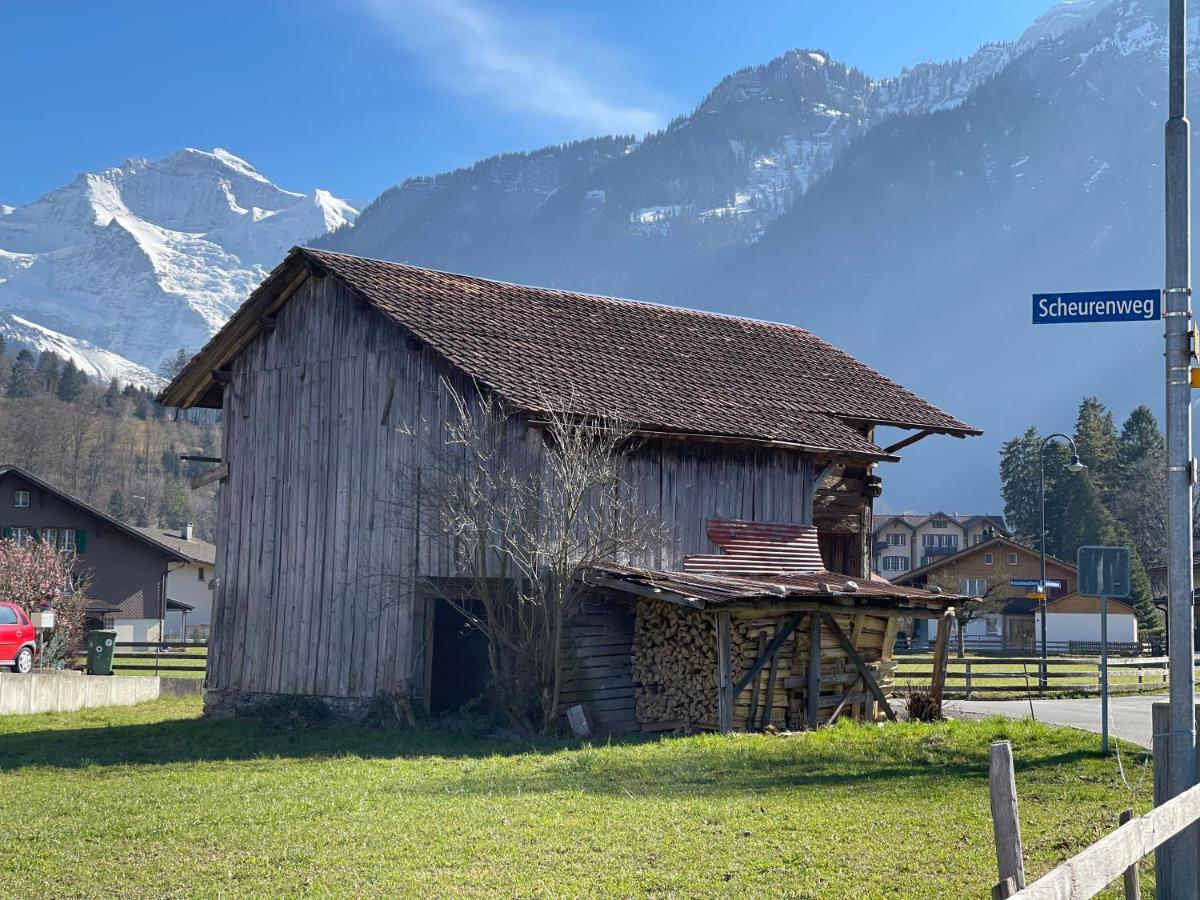 S&P Mountain View Apartment 1 Wilderswil Zewnętrze zdjęcie