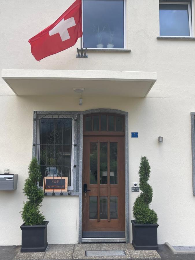 S&P Mountain View Apartment 1 Wilderswil Zewnętrze zdjęcie